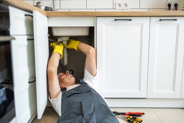 Best Clogged Drain Plumber  in Christiana, TN